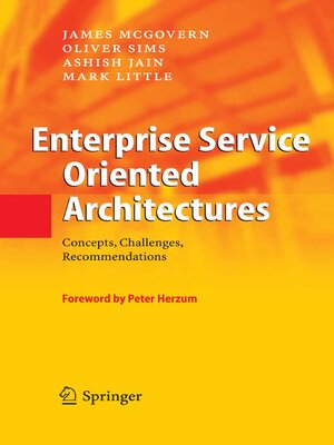 cover image of Enterprise Service Oriented Architectures
